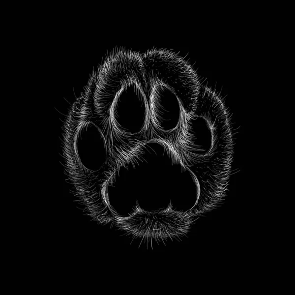 How to Draw a Paw Print - DrawingNow