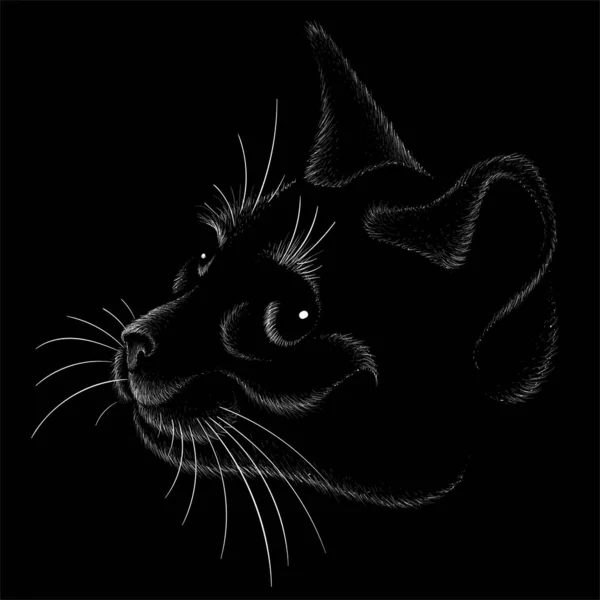 Dövme ya da kumaş tasarımı için kedi logosu, basitçe vektör çizimi  