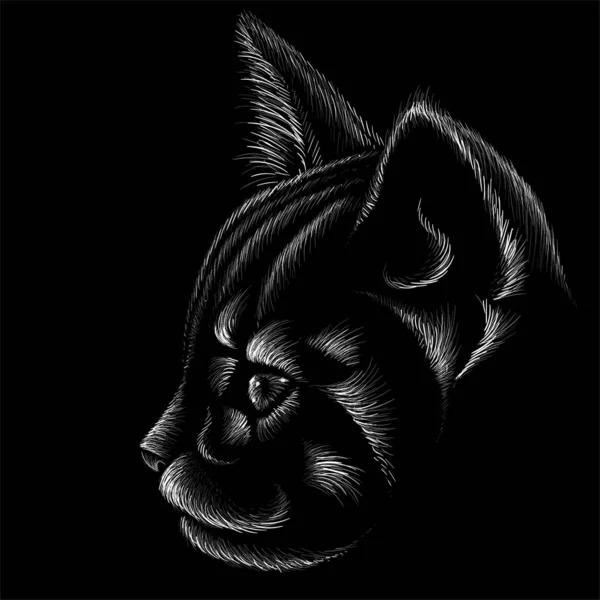 Logo Cat Tattoo Cloth Design Simply Vector Illustration — 스톡 벡터