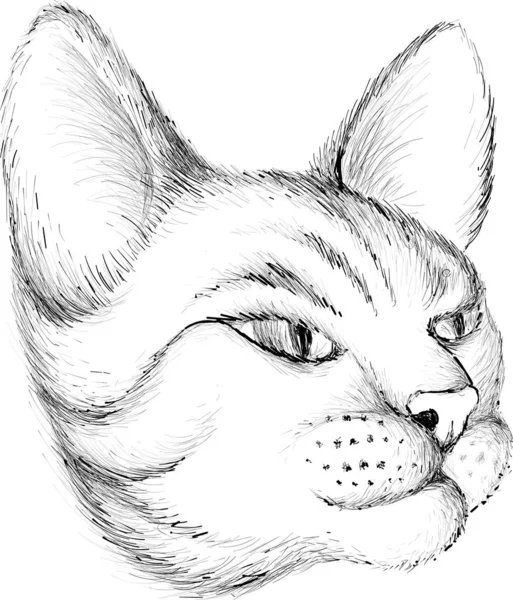 Логотип Кота Дизайна Татуировки Ткани Просто Векторная Иллюстрация — стоковый вектор
