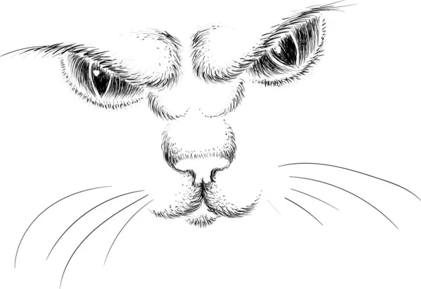 Логотип Кота Дизайна Татуировки Ткани Просто Векторная Иллюстрация — стоковый вектор