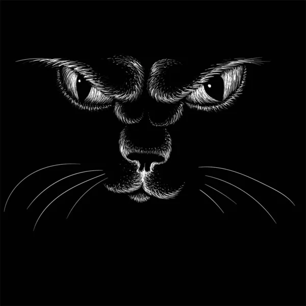 Dövme ya da kumaş tasarımı için kedi logosu, basitçe vektör çizimi  