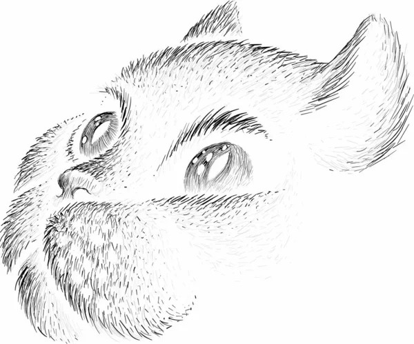Logotyp För Katt För Tatuering Eller Tyg Design Helt Enkelt — Stock vektor