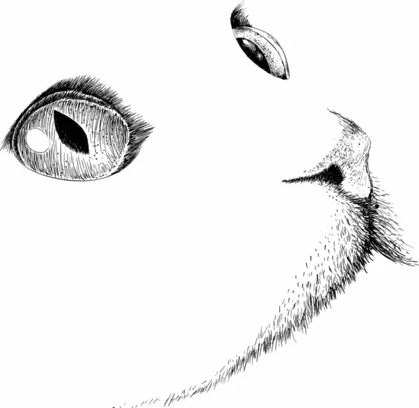 入れ墨や布のデザインのための猫のロゴ 単にベクターイラスト — ストックベクタ