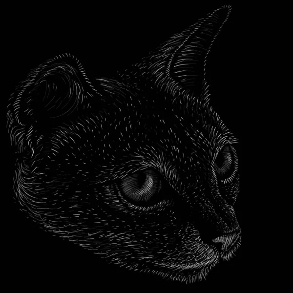 Логотип Кота Татуювання Або Дизайну Тканини Просто Векторна Ілюстрація — стоковий вектор