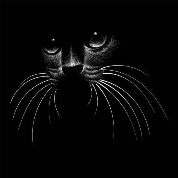 Gato Preto Pixel Para Ponto Cruzado Ilustração do Vetor - Ilustração de arcada, computador: 229232532