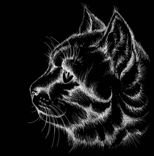 Logotipo Del Gato Para Tatuaje Diseño Tela Ilustración Vectorial Simple — Archivo Imágenes Vectoriales