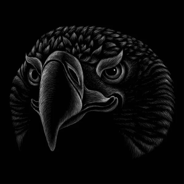 Logotipo Del Águila Para Tatuaje Diseño Tela Ilustración Vectorial Simple — Vector de stock