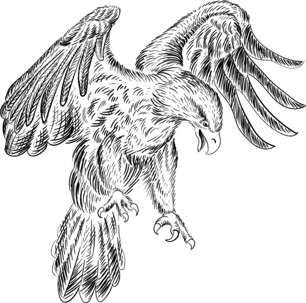 Logo Eagle Tattoo Cloth Design Simply Vector Illustration — Stock Vector