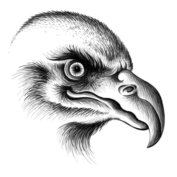 Logotipo Del Águila Para Tatuaje Diseño Tela Ilustración Vectorial Simple — Archivo Imágenes Vectoriales