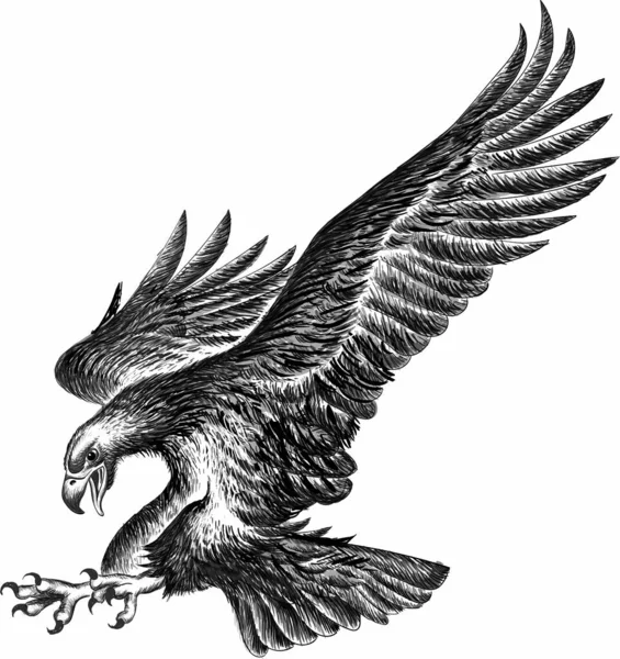 Dövme ya da kumaş tasarımı için kartal logosu, basitçe vektör çizimi  