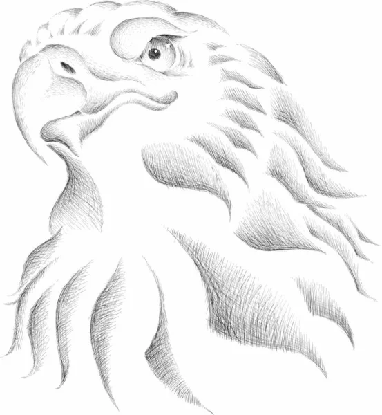 Logotipo Del Águila Para Tatuaje Diseño Tela Ilustración Vectorial Simple — Archivo Imágenes Vectoriales