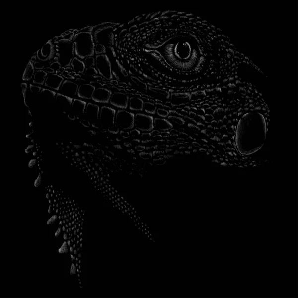 Iguana Poster Gewoon Vectorillustratie — Stockvector