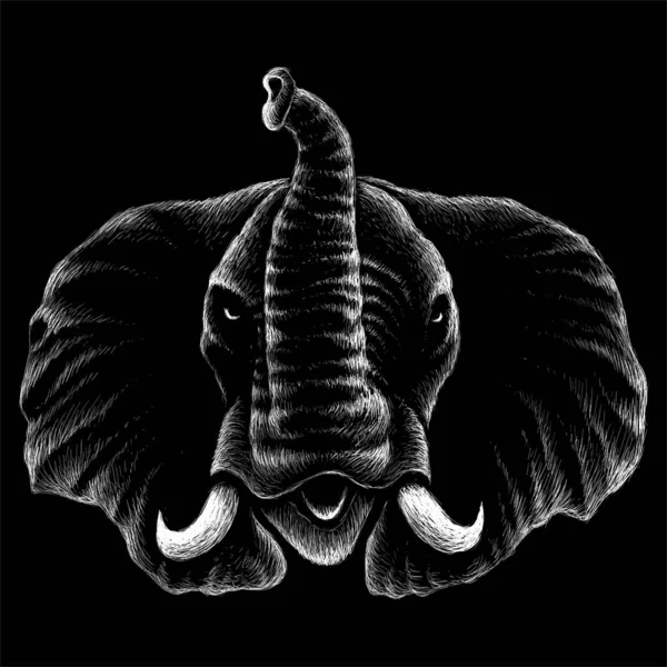 Elefánt Monokróm Poszter Egyszerűen Vektor Illusztráció — Stock Vector