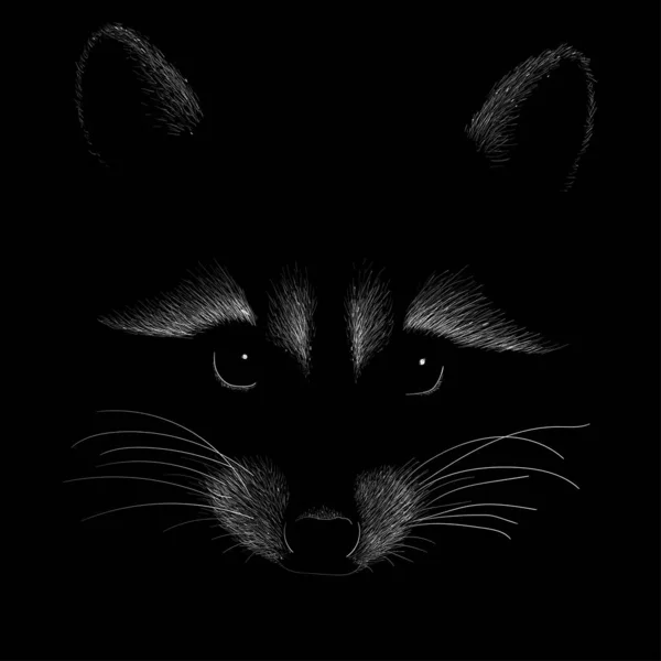 Poster Coon Illustration Vectorielle Simple — Image vectorielle