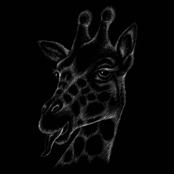 Girafe Sur Fond Noir Illustration Vectorielle Simple — Image vectorielle