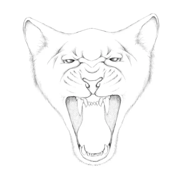 入れ墨や布のデザインのためのライオンのロゴ 単にベクターイラスト — ストックベクタ
