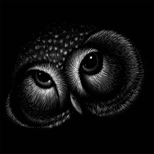 Logo Hibou Pour Conception Tatouage Tissu Illustration Simplement Vectorielle — Image vectorielle