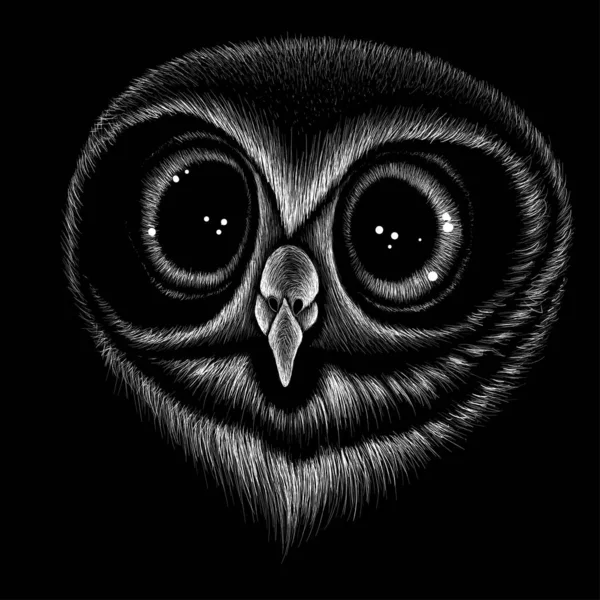 Logo Owl Tattoo Cloth Design Simply Vector Illustration — Stock Vector