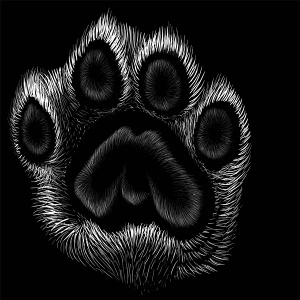 Paw Icon Simply Vector Illustration — 스톡 벡터