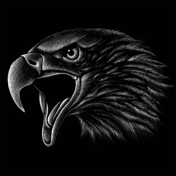 Berburu Falcon Vector Art Stock Images ページ 3 Depositphotos