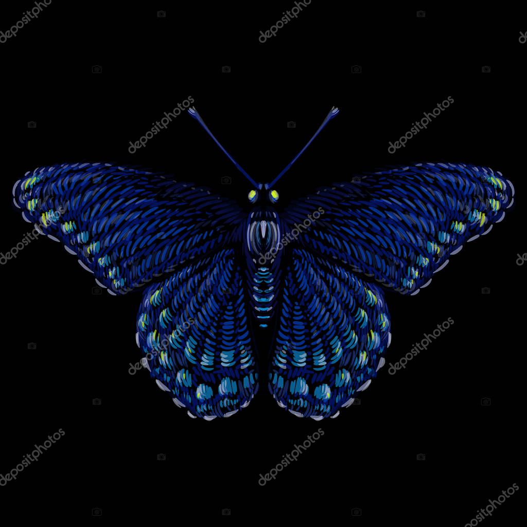 Logo of butterfly for tattoo or cloth design, simply vector illustration