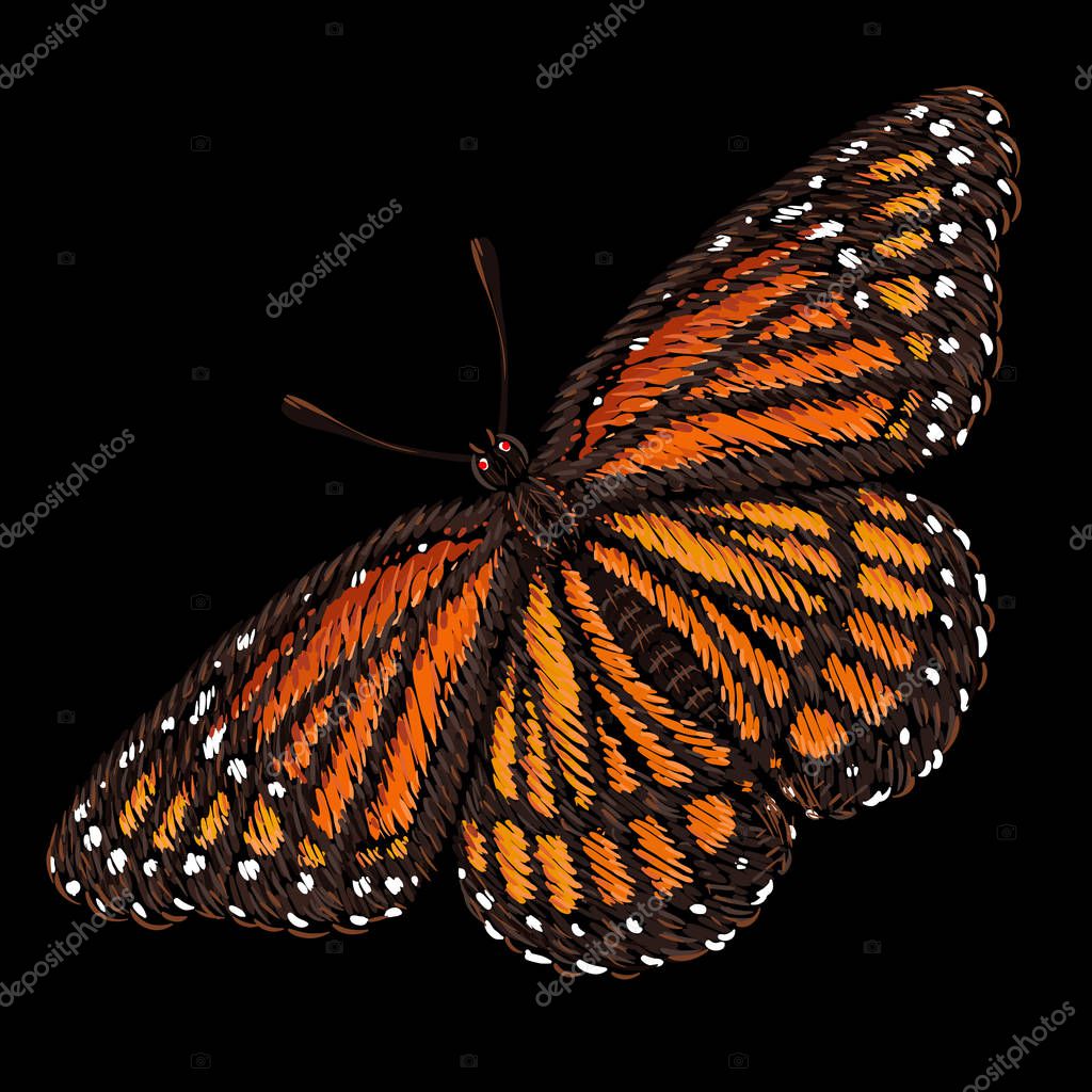 Logo of butterfly for tattoo or cloth design, simply vector illustration