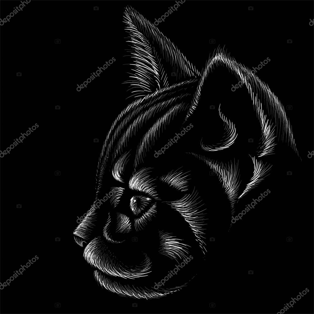 Logo of cat for tattoo or cloth design, simply vector illustration