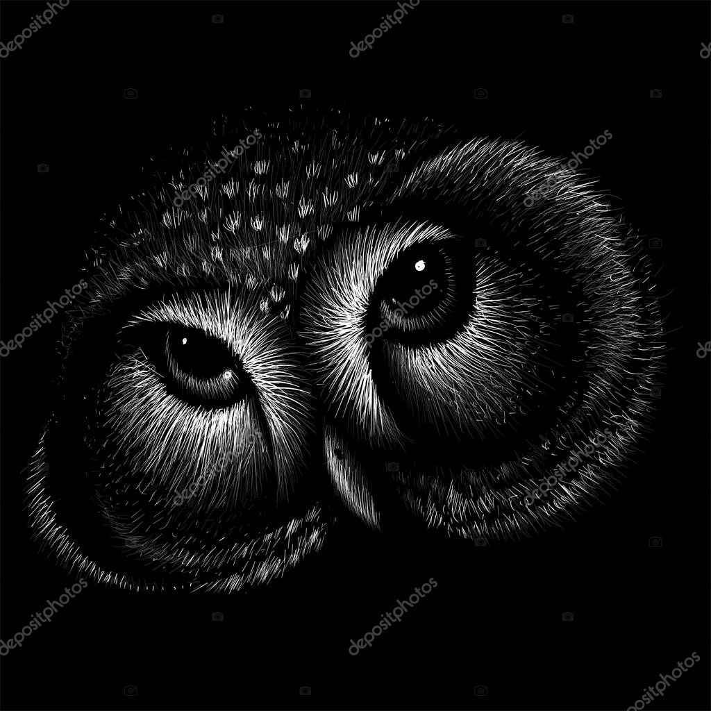 Logo of owl for tattoo or cloth design, simply vector illustration