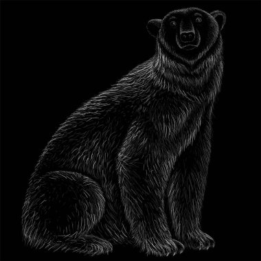 Dövme ya da kumaş tasarımı için ayı logosu, basitçe vektör çizimi  