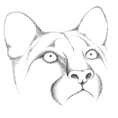 Dövme ya da kumaş tasarımı için kedi logosu, basitçe vektör çizimi  