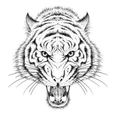 Dövme ya da kumaş tasarımı için kaplan logosu, basitçe vektör çizimi  