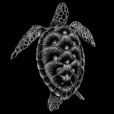 Kaplumbağa simgesi, basitçe vektör çizimi 