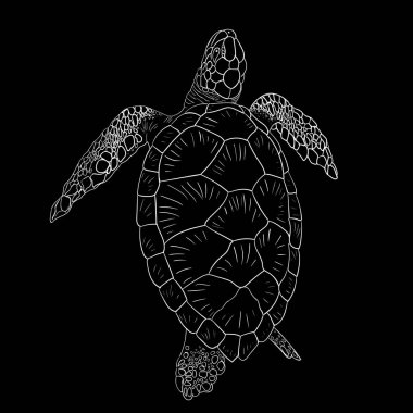 Kaplumbağa simgesi, basitçe vektör çizimi 