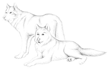 Dövme ya da kumaş tasarımı için köpek ya da kurt logosu, basitçe vektör çizimi  