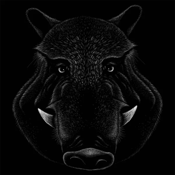 Cerdo Sobre Fondo Negro Ilustración Vectorial Simple — Archivo Imágenes Vectoriales