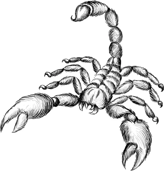 Εικόνα Scorpion Απλά Διανυσματική Απεικόνιση — Διανυσματικό Αρχείο