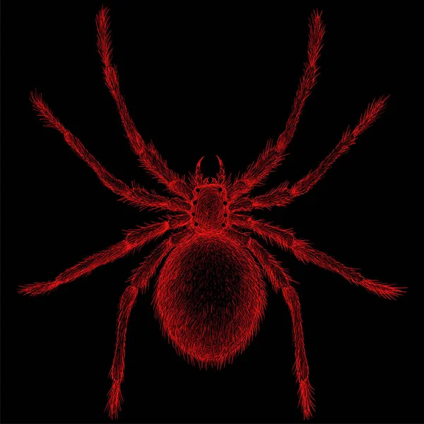 Örümcek Simgesi Basitçe Vektör Çizimi — Stok Vektör
