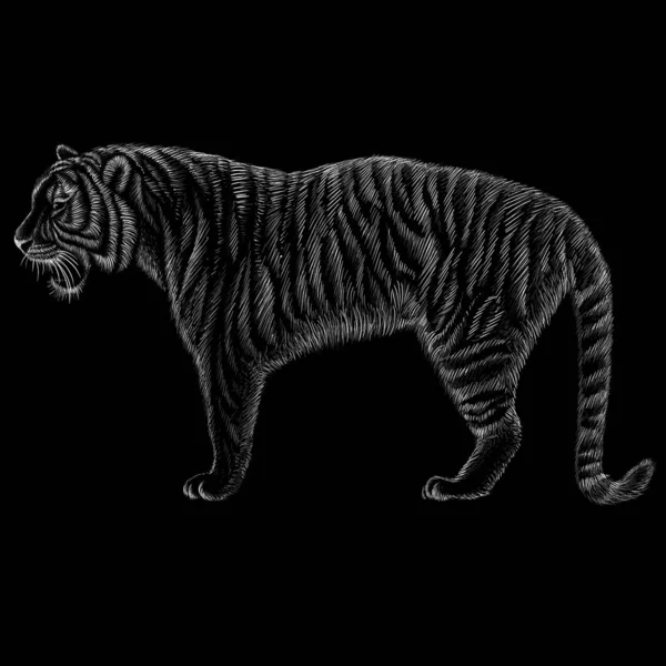 Logotipo Tigre Para Tatuagem Design Pano Simplesmente Ilustração Vetorial —  Vetores de Stock