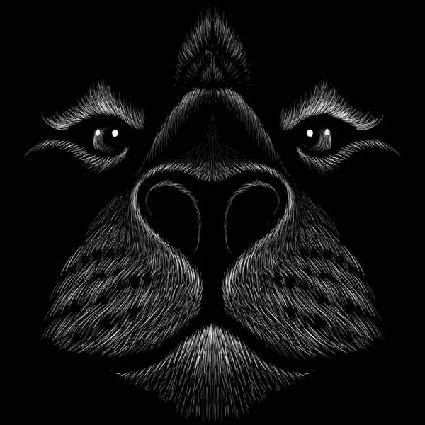 Λογότυπο Τίγρης Για Τατουάζ Σχέδιο Υφάσματος Απλά Διανυσματική Απεικόνιση — Διανυσματικό Αρχείο