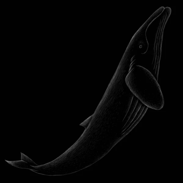 Icona Balena Semplicemente Illustrazione Vettoriale — Vettoriale Stock