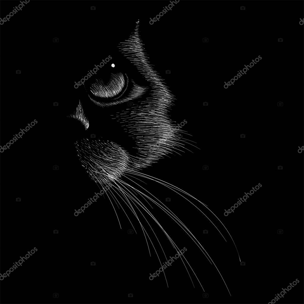 Logo of cat for tattoo or cloth design, simply vector illustration