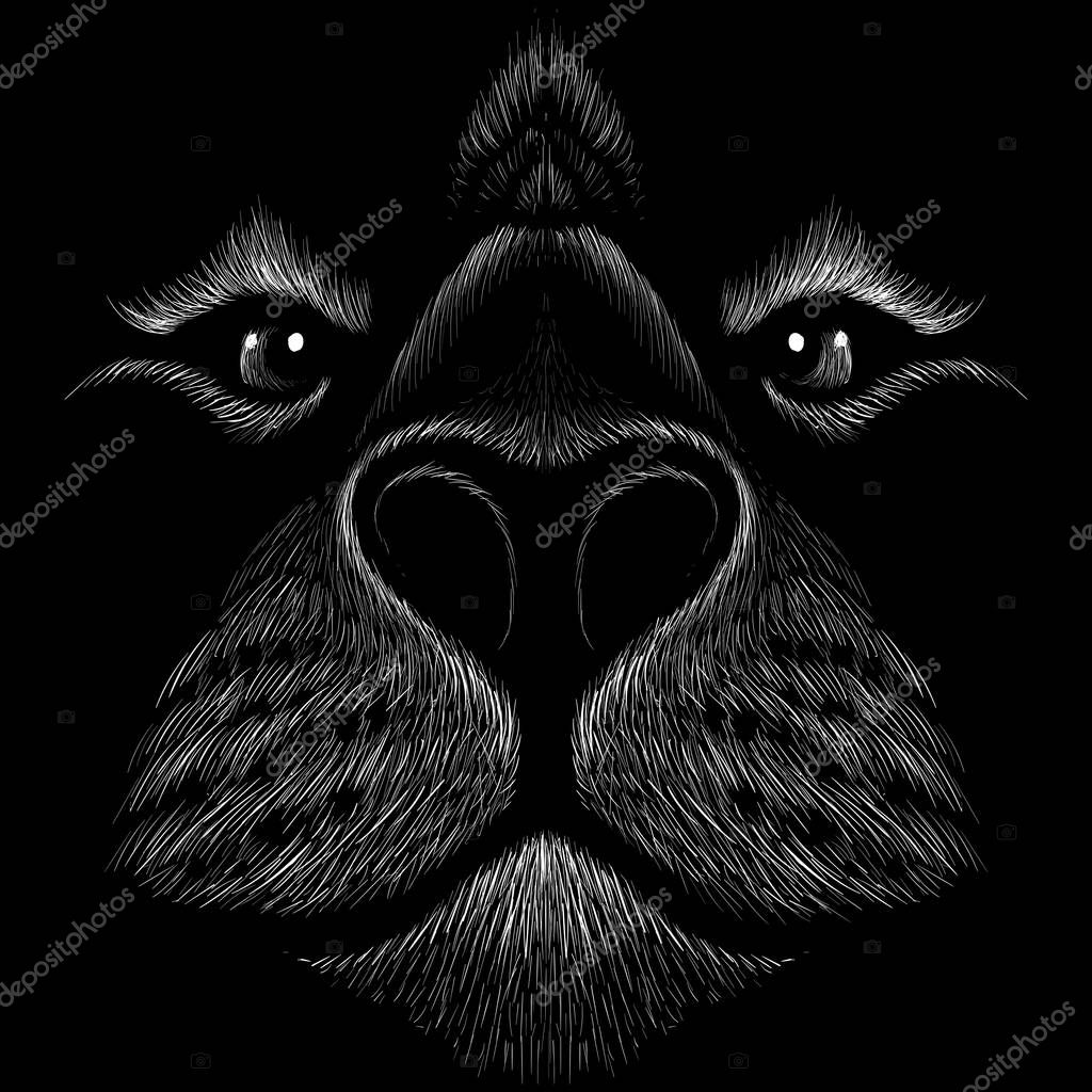 Logo of tiger for tattoo or cloth design, simply vector illustration