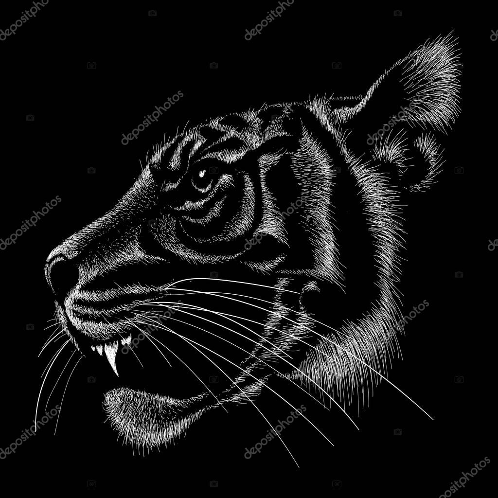 Logo of tiger for tattoo or cloth design, simply vector illustration