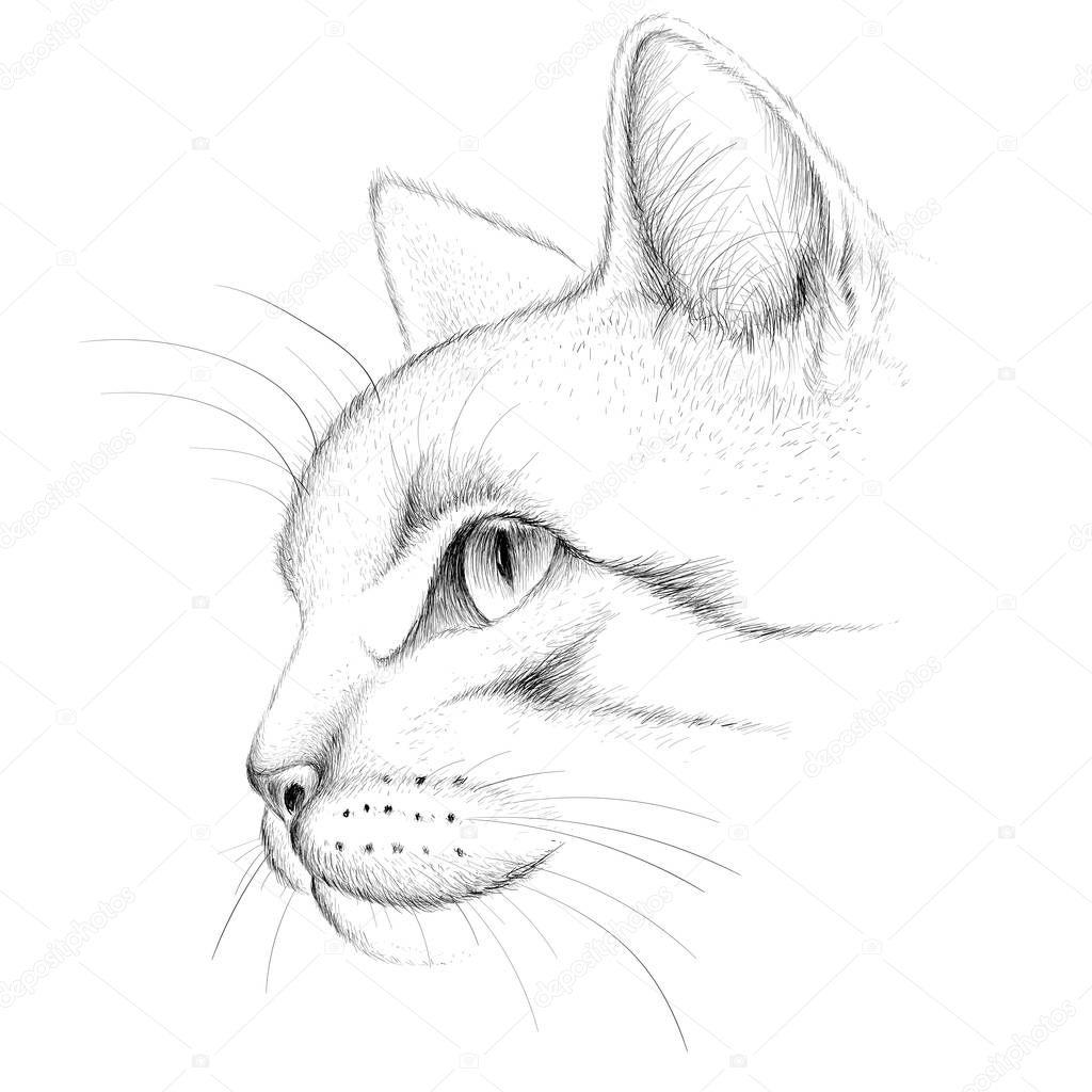 Logo of cat for tattoo or cloth design, simply vector illustration