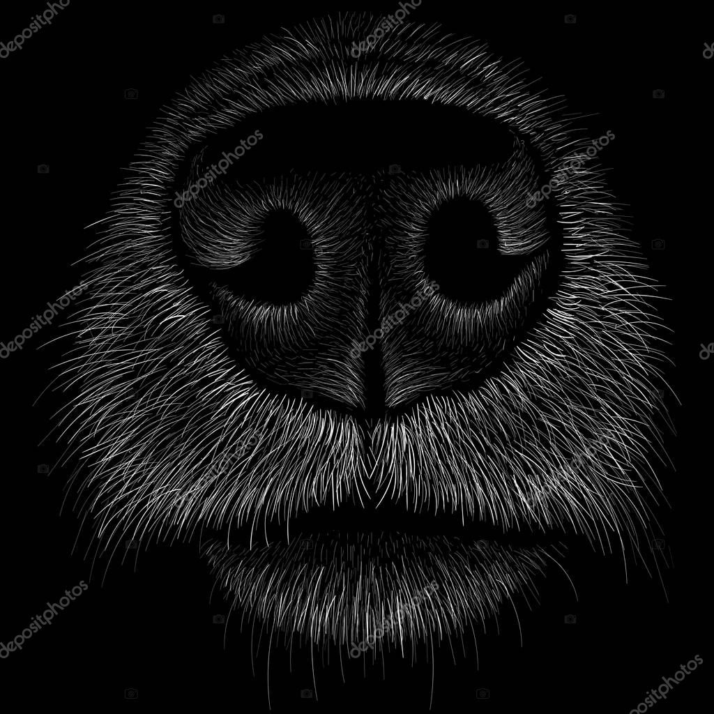Logo of dog or wolf for tattoo or cloth design, simply vector illustration