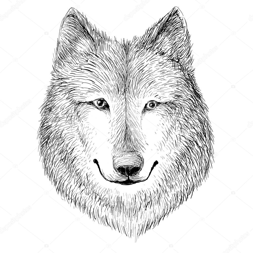 logo of dog or wolf for tattoo or cloth design, simply vector illustration  