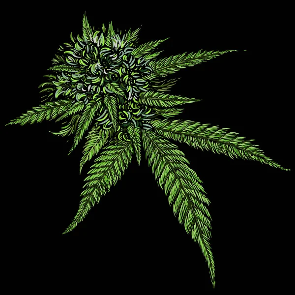 Cannabisblad Helt Enkelt Vektorillustration — Stock vektor