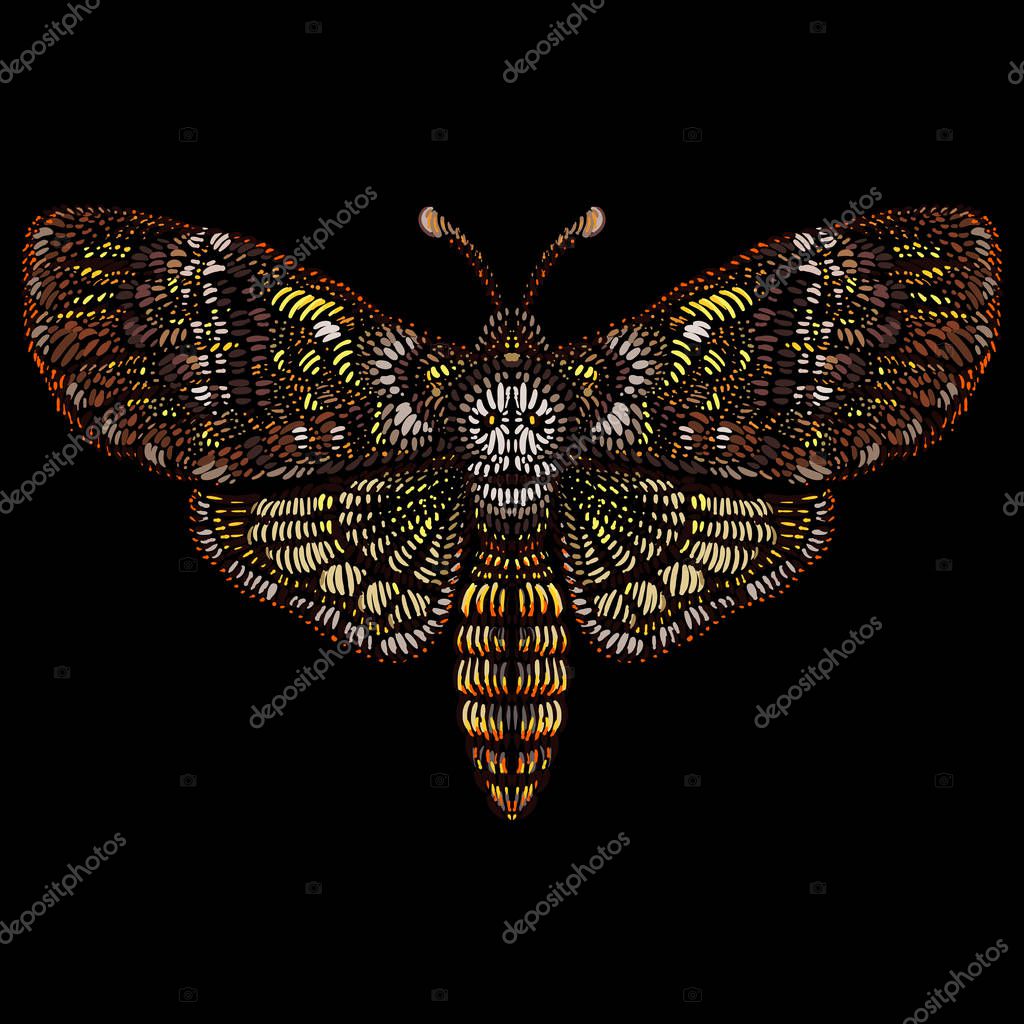 Logo of butterfly for tattoo or cloth design, simply vector illustration