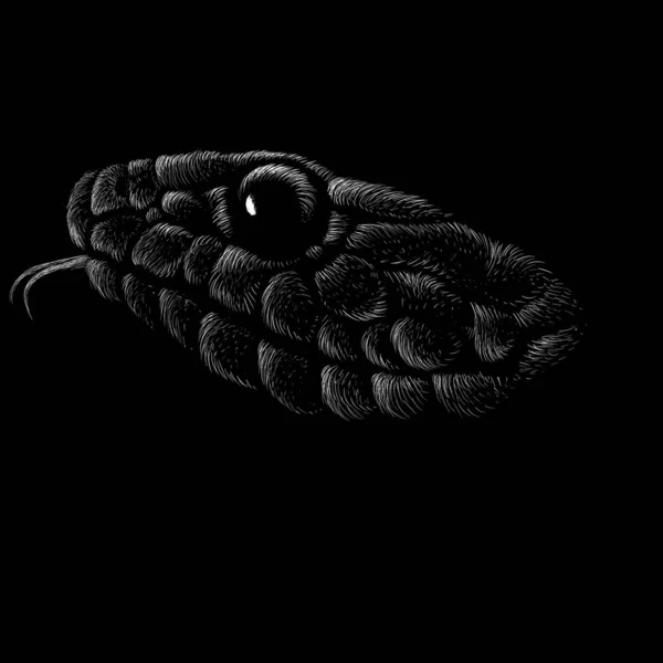 入れ墨や布のデザインのためのヘビのロゴ 単にベクトルイラスト — ストックベクタ